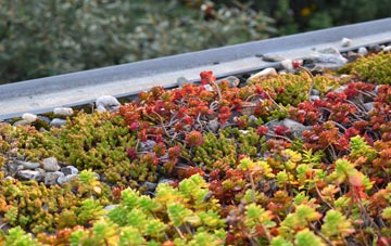 the cost of Desborough green roof installation